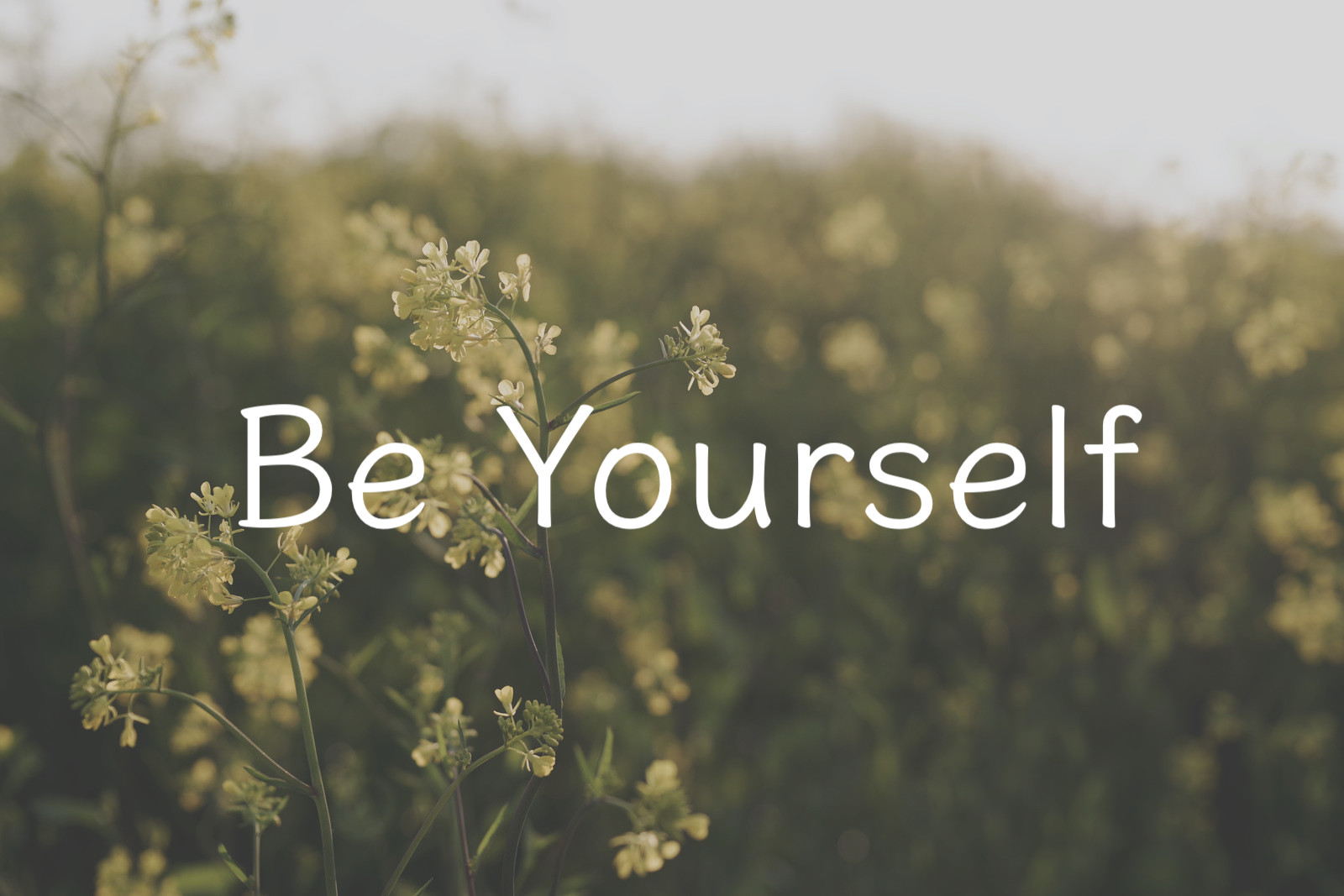 【感想】Be Yourself（川原 卓巳 [著]）